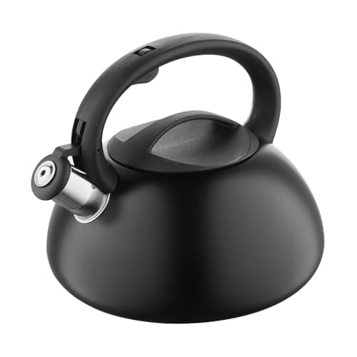 Bouilloire Sifflante Brillo Inox 2,5 L Gris Clair Thé Café