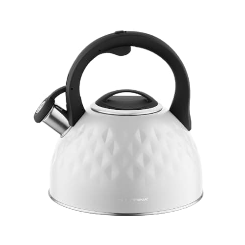 Bouilloire Sifflante Brillo Inox 2,5 L Gris Clair Thé Café
