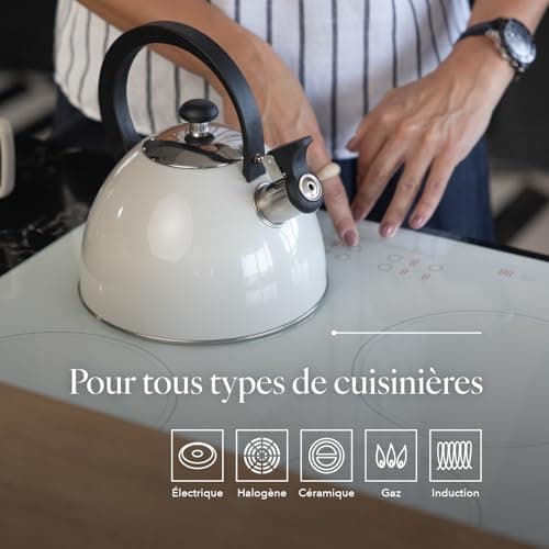 Bouilloire Sifflante Brillo Inox 2,5 L Gris Clair Thé Café