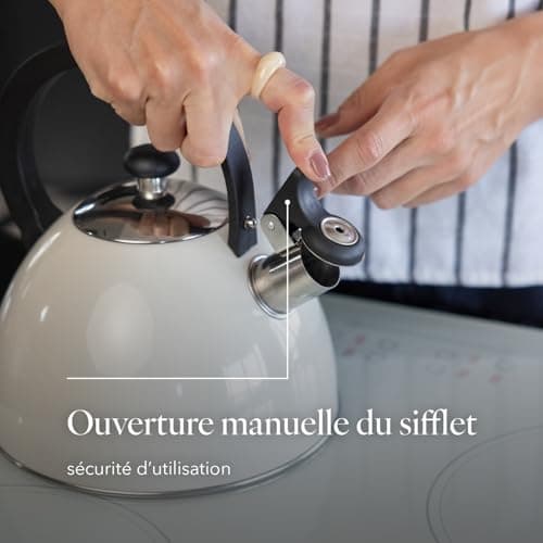 Bouilloire Sifflante Brillo Inox 2,5 L Gris Clair Thé Café