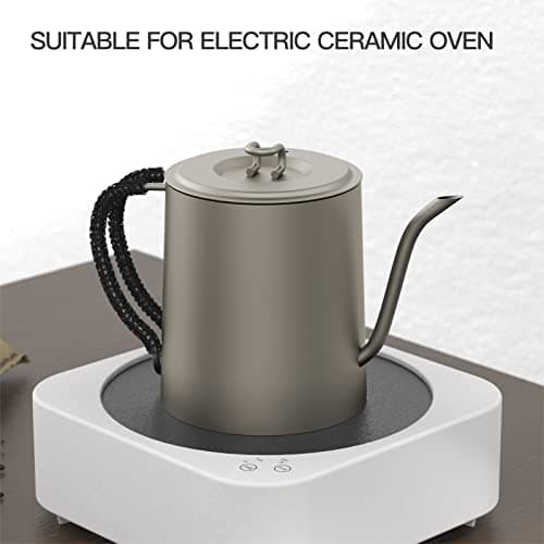 <think>
Okay, the user wants me to revise the product title for a titanium swan-neck kettle. The original title is in Fr