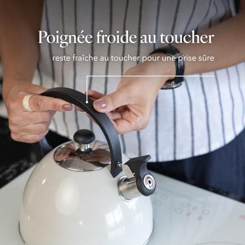 Bouilloire Sifflante Brillo Inox 2,5 L Gris Clair Thé Café